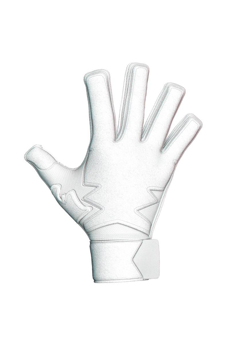 goolkepper gloves